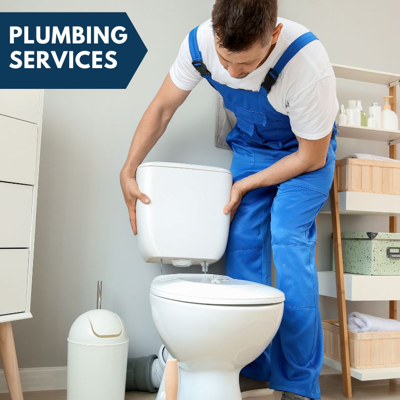 Plumbing Company in Valley Lee, MD